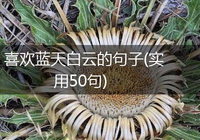 喜欢蓝天白云的句子(实用50句)