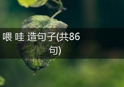 喂 哇 造句子(共86句)