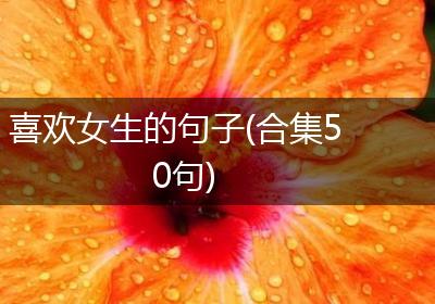 喜欢女生的句子(合集50句)