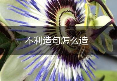 不利造句怎么造