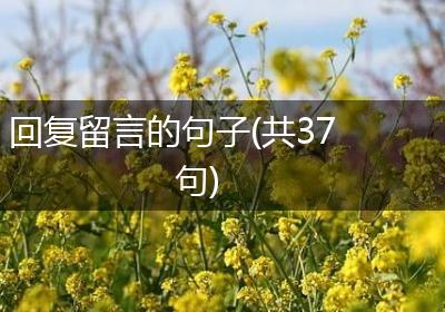 回复留言的句子(共37句)