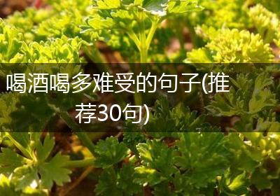 喝酒喝多难受的句子(推荐30句)