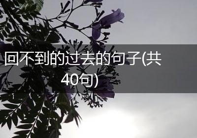 回不到的过去的句子(共40句)