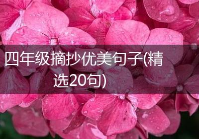 四年级摘抄优美句子(精选20句)