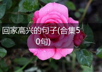 回家高兴的句子(合集50句)