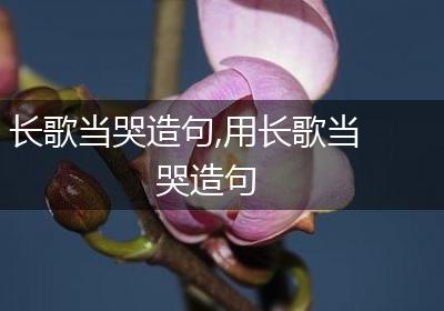 长歌当哭造句,用长歌当哭造句