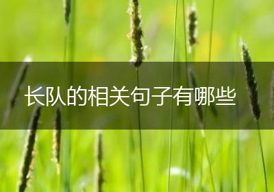 长队的相关句子有哪些