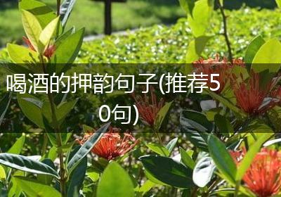 喝酒的押韵句子(推荐50句)