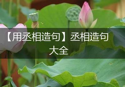 【用丞相造句】丞相造句大全