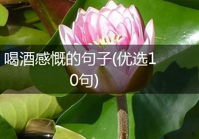 喝酒感慨的句子(优选10句)