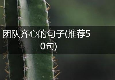团队齐心的句子(推荐50句)