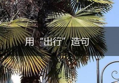 用“出行”造句