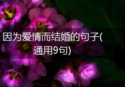 因为爱情而结婚的句子(通用9句)
