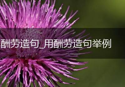酬劳造句_用酬劳造句举例
