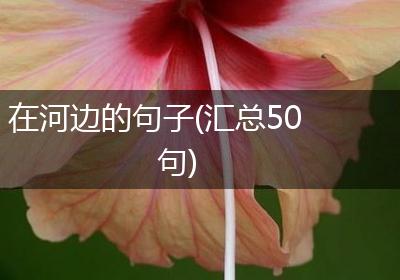 在河边的句子(汇总50句)