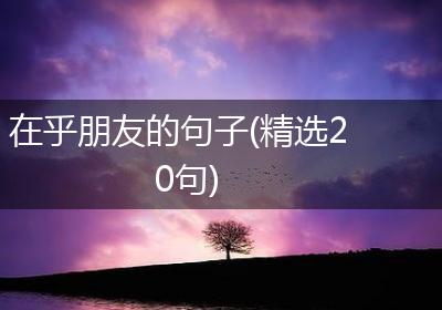 在乎朋友的句子(精选20句)