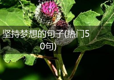 坚持梦想的句子(热门50句)