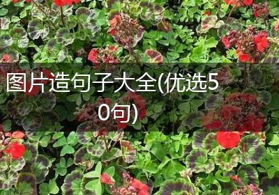 图片造句子大全(优选50句)