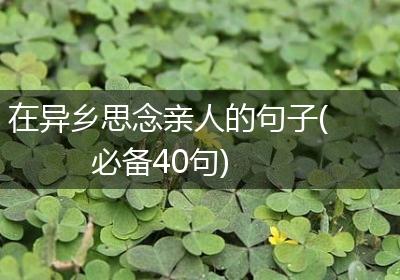 在异乡思念亲人的句子(必备40句)