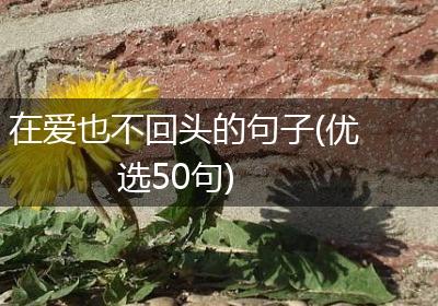 在爱也不回头的句子(优选50句)