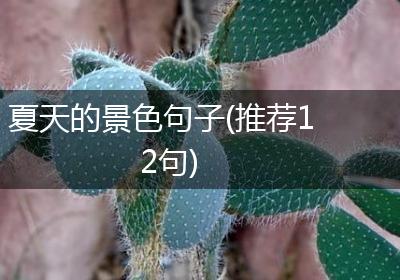 夏天的景色句子(推荐12句)