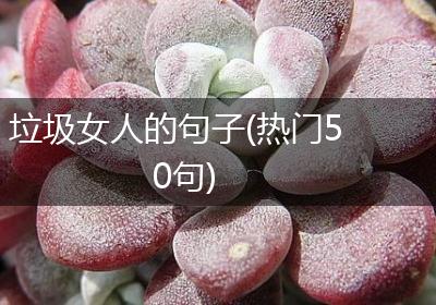 垃圾女人的句子(热门50句)