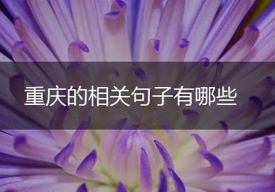 重庆的相关句子有哪些