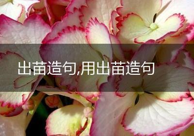 出苗造句,用出苗造句