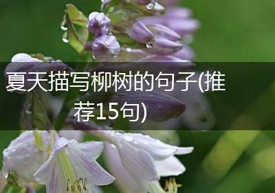 夏天描写柳树的句子(推荐15句)