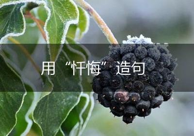 用“忏悔”造句