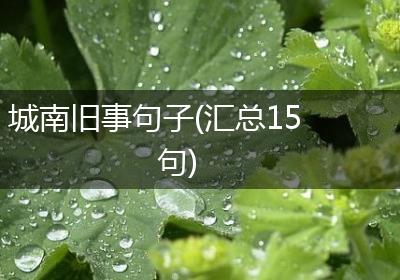 城南旧事句子(汇总15句)