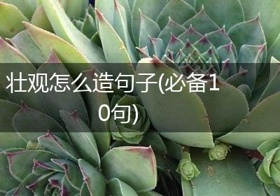壮观怎么造句子(必备10句)