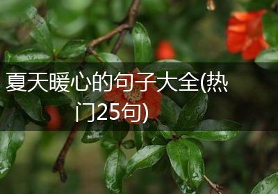夏天暖心的句子大全(热门25句)