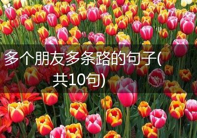 多个朋友多条路的句子(共10句)