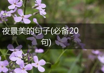 夜景美的句子(必备20句)