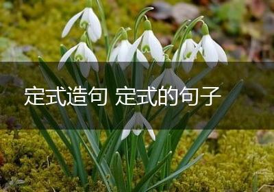 定式造句 定式的句子