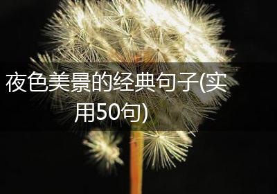 夜色美景的经典句子(实用50句)