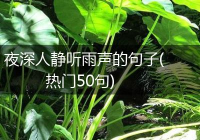 夜深人静听雨声的句子(热门50句)
