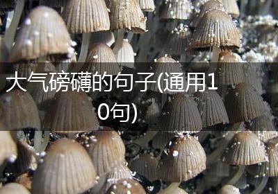 大气磅礴的句子(通用10句)