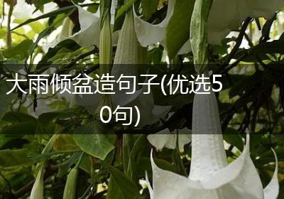 大雨倾盆造句子(优选50句)
