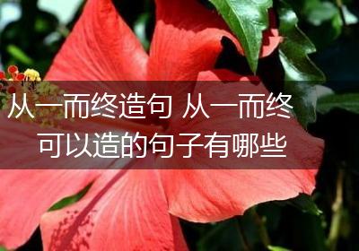 从一而终造句 从一而终可以造的句子有哪些