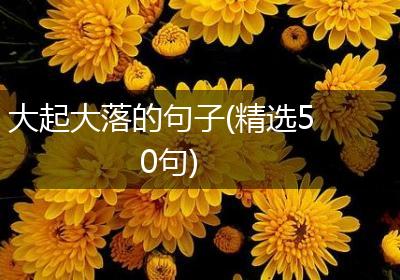 大起大落的句子(精选50句)