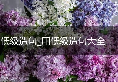 低级造句_用低级造句大全