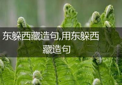 东躲西藏造句,用东躲西藏造句