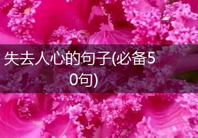 失去人心的句子(必备50句)