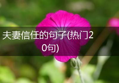 夫妻信任的句子(热门20句)
