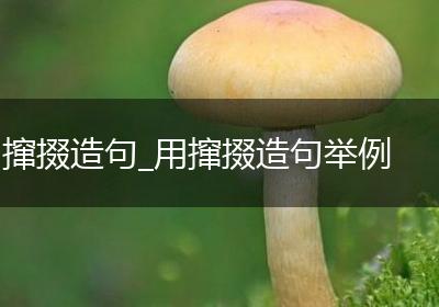 撺掇造句_用撺掇造句举例