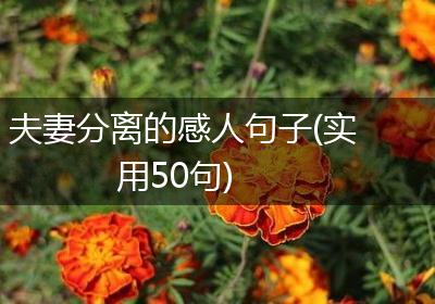 夫妻分离的感人句子(实用50句)