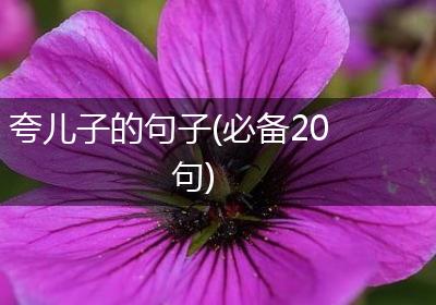 夸儿子的句子(必备20句)