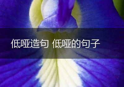 低哑造句 低哑的句子